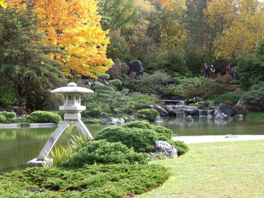 Цветение Сакуры в Японии сады