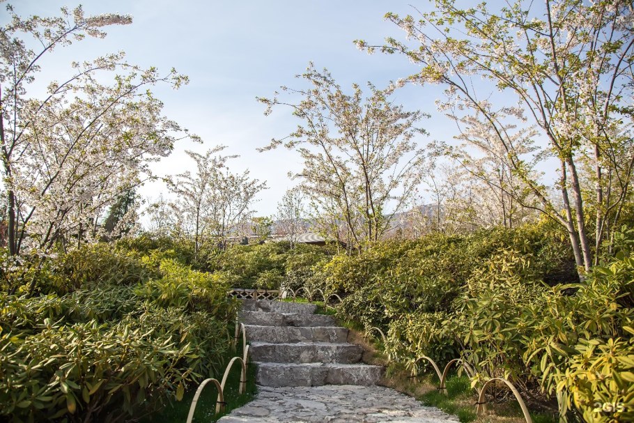 Япония красные клены Киото