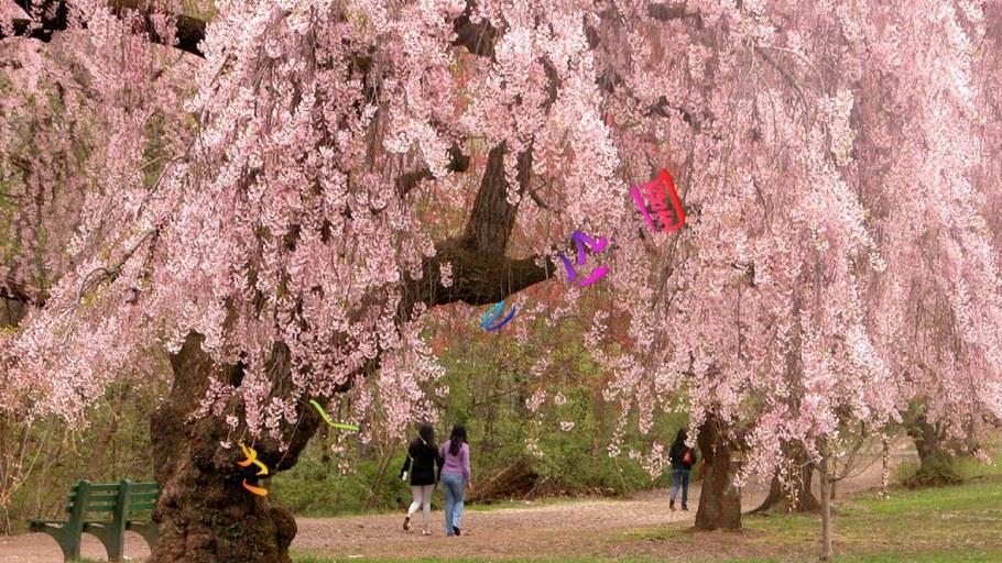 Макет японского сада