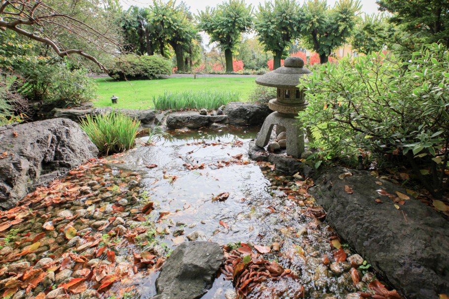 Аллея Сакуры в Японии цветение