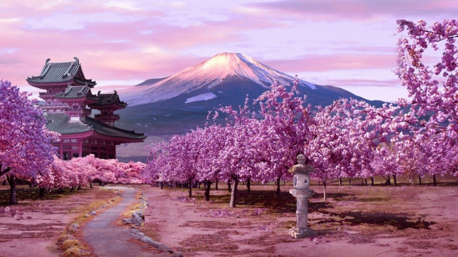 Экскурсия по саду