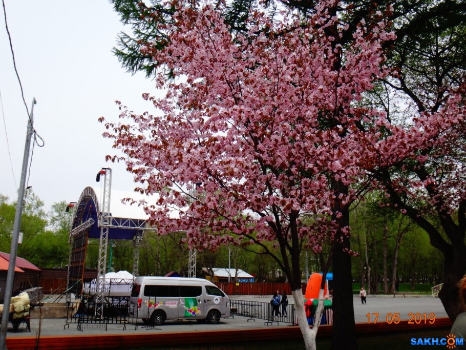 Kyoto Japan 2021 April blog