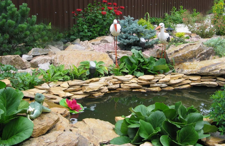 Искусственный прудик Хоста