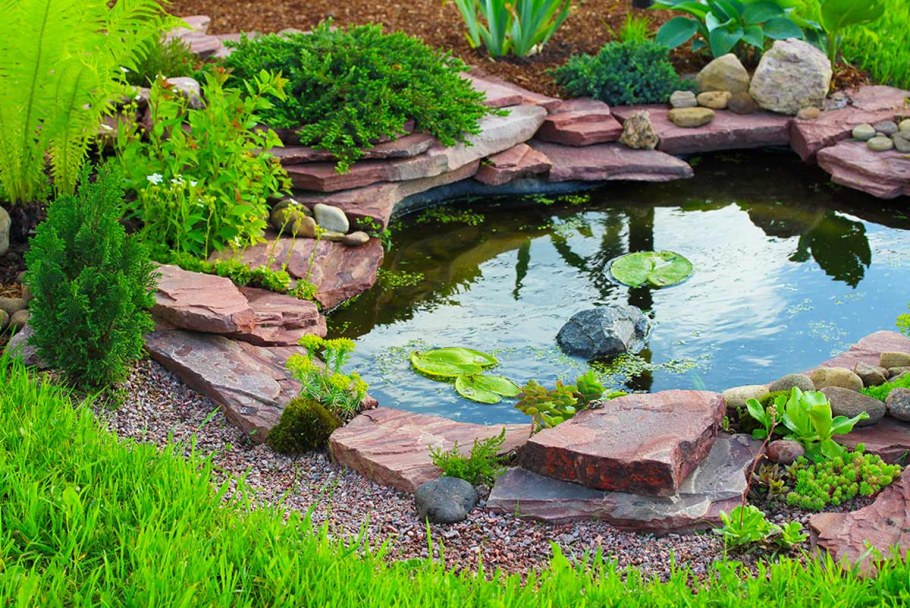 Декоративный пруд на участке