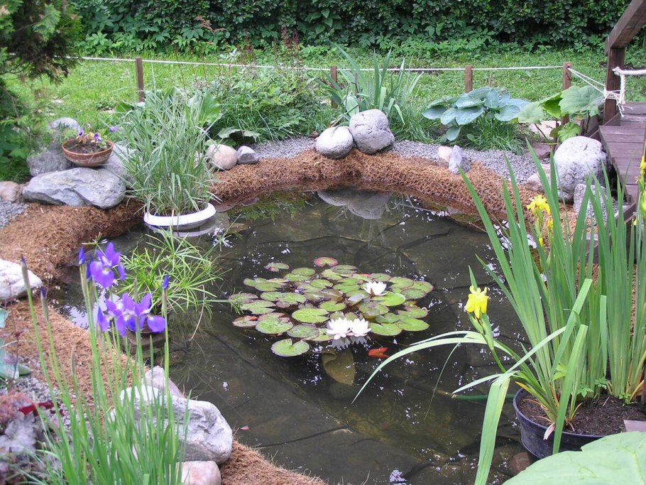 Прудик для нимфеи ландшафтном