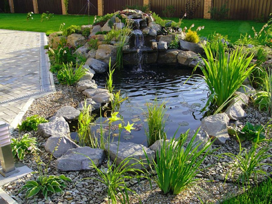 Альпийская горка возле прудика