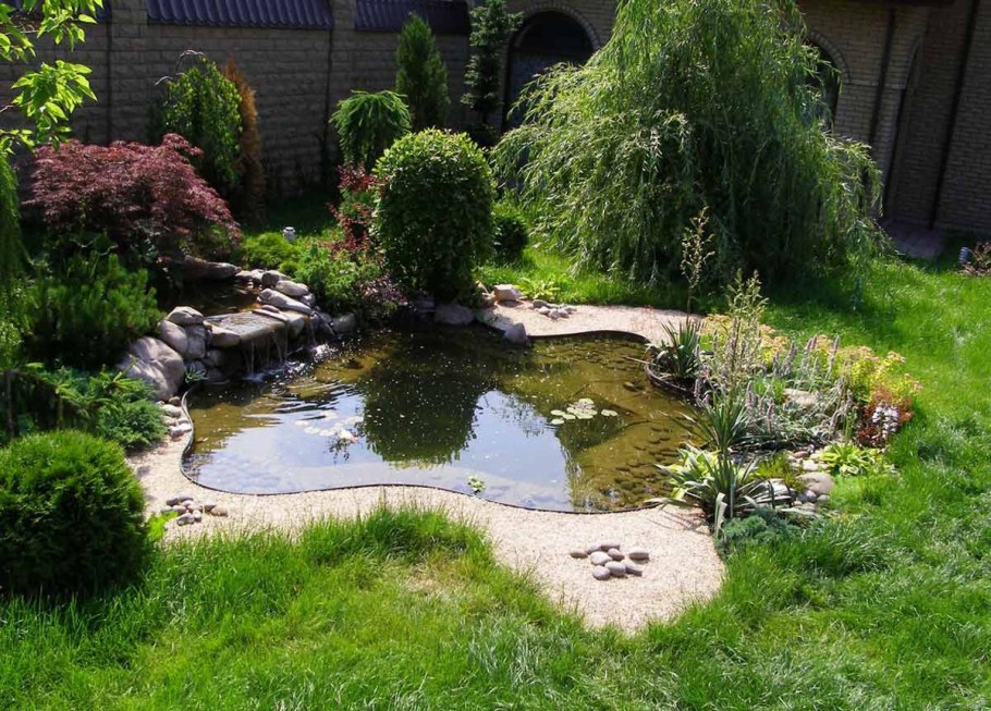 Дачный прудик ландшафт