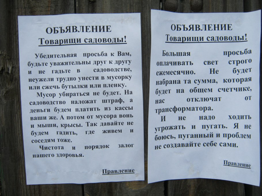 Жо скольких можно уметь в квартире