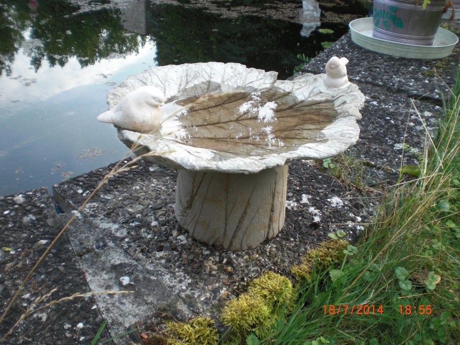 Фонтан из цемента листья