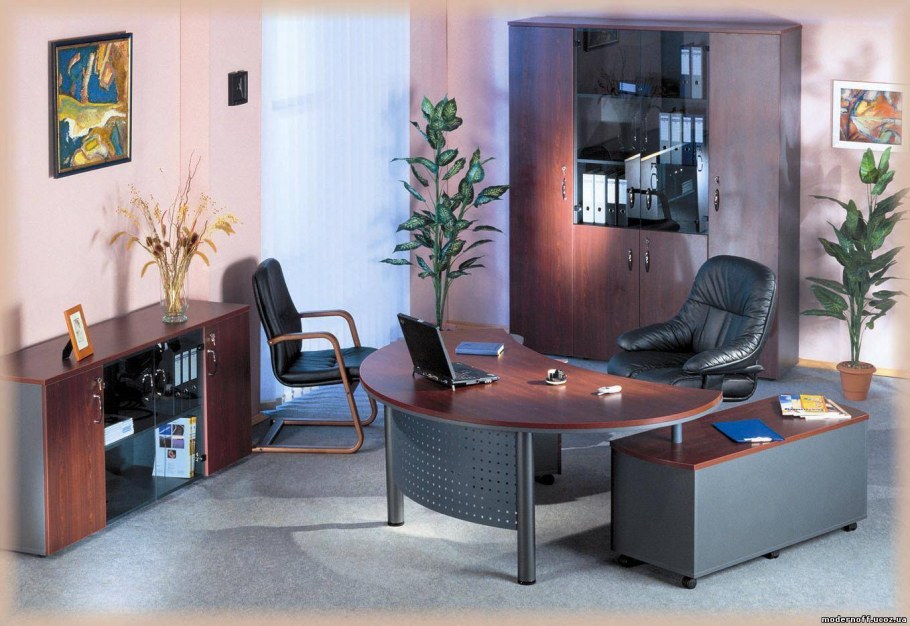 Кабинет руководителя по фен шуй