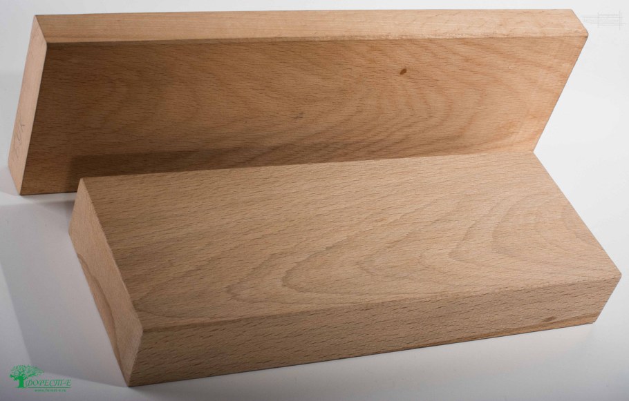 Хвойные породы деревьев кедр Сибирская сосна