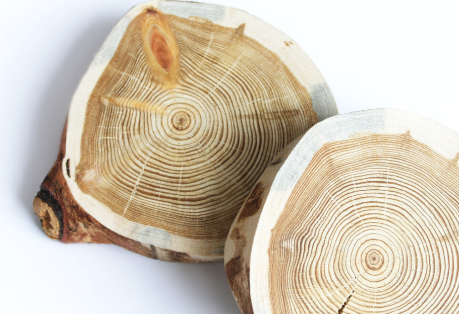 Береза Шмидта спил