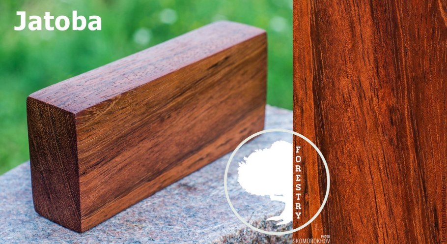 Самое твердое дерево Ятоба