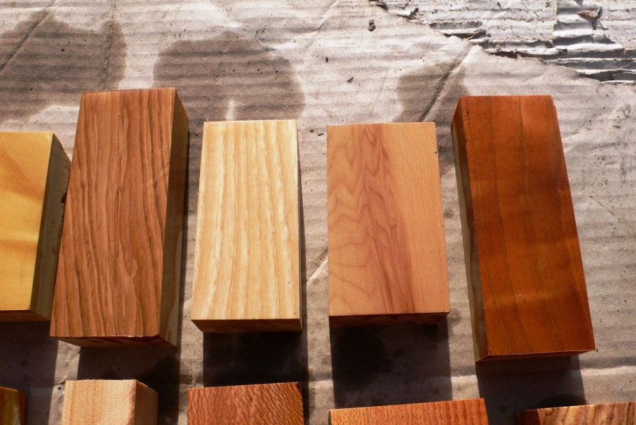 Ценные породы дерева