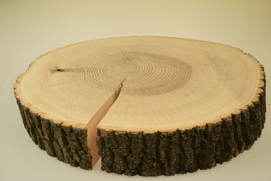 Разница древесины лиственница сосна кедр ель