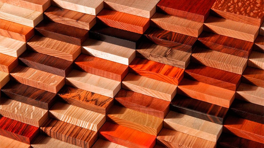 Ценные породы древесины