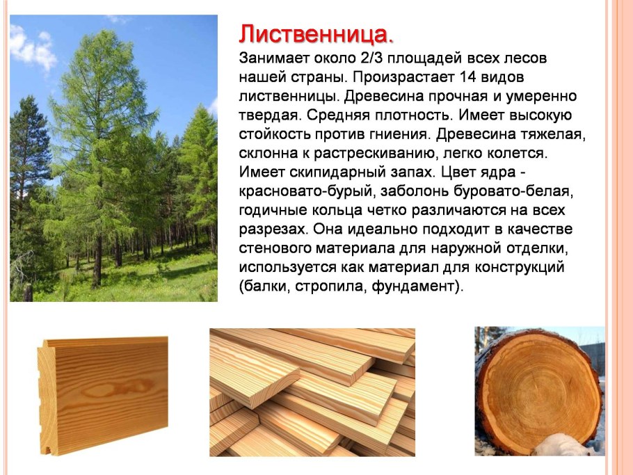 Древесина лиственницы Водопоглощение