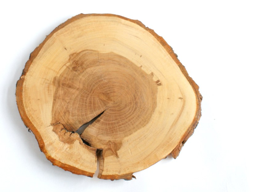 Деревянные спилы для декора