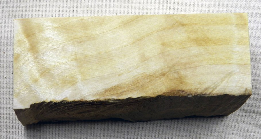 Древесина бука