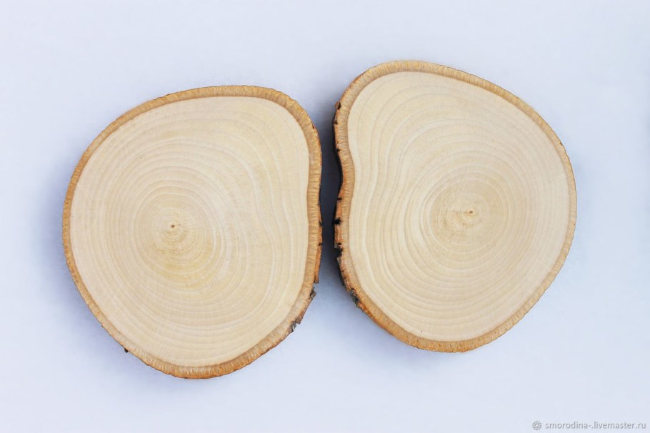 Разделочная доска из среза дерева