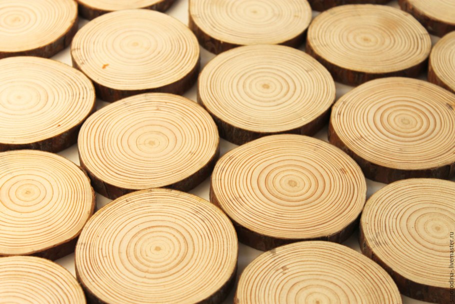 Пороки древесины липы