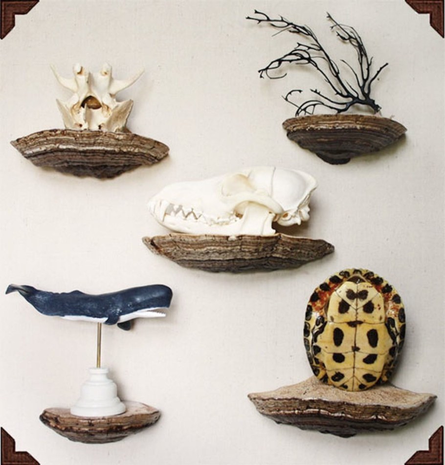 Полки для сувениров