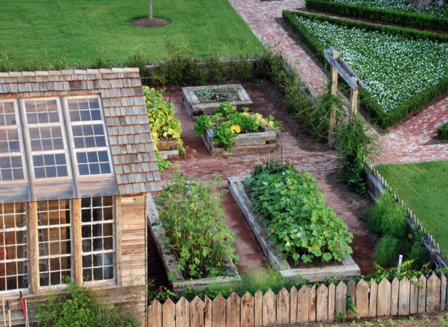 Красивые грядки на даче