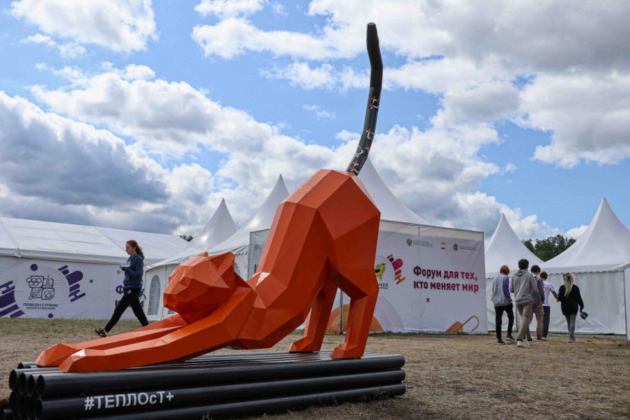 Арт-объект «кошка-хвост-трубой»