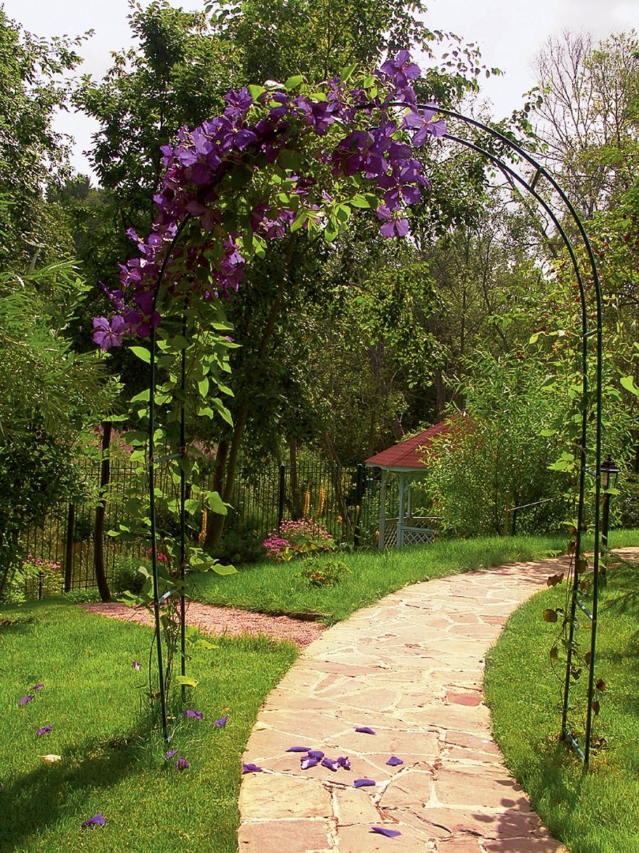 Долихос и клематис