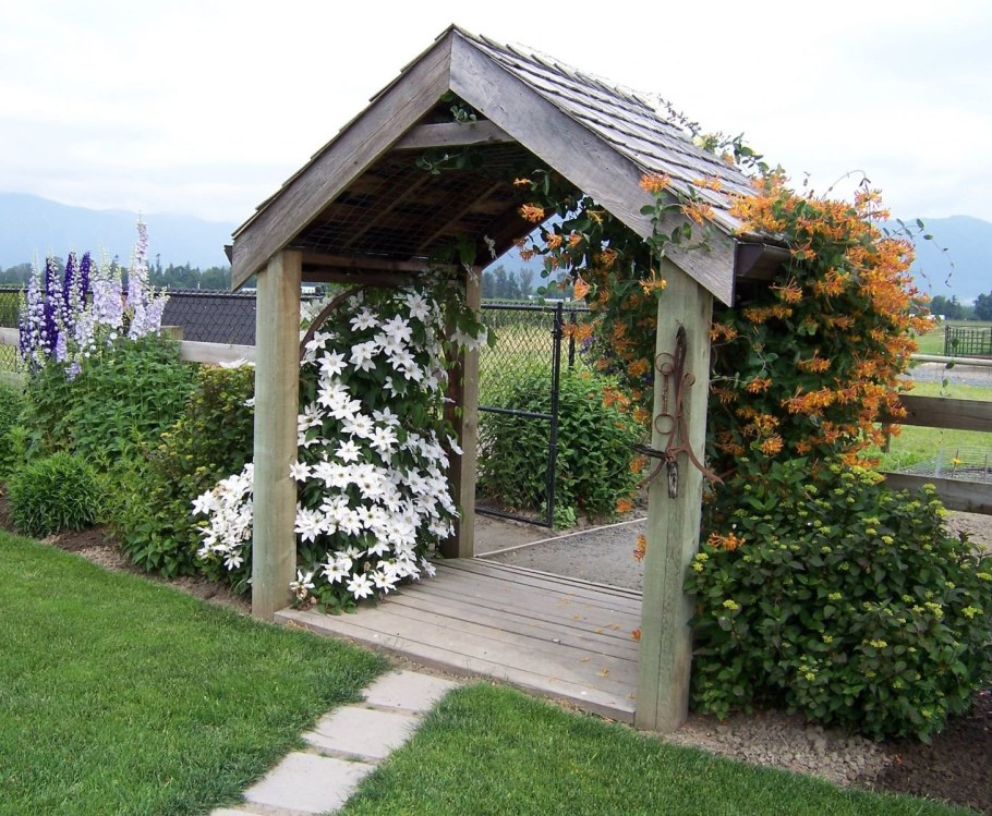 Беседка увитая клематисом