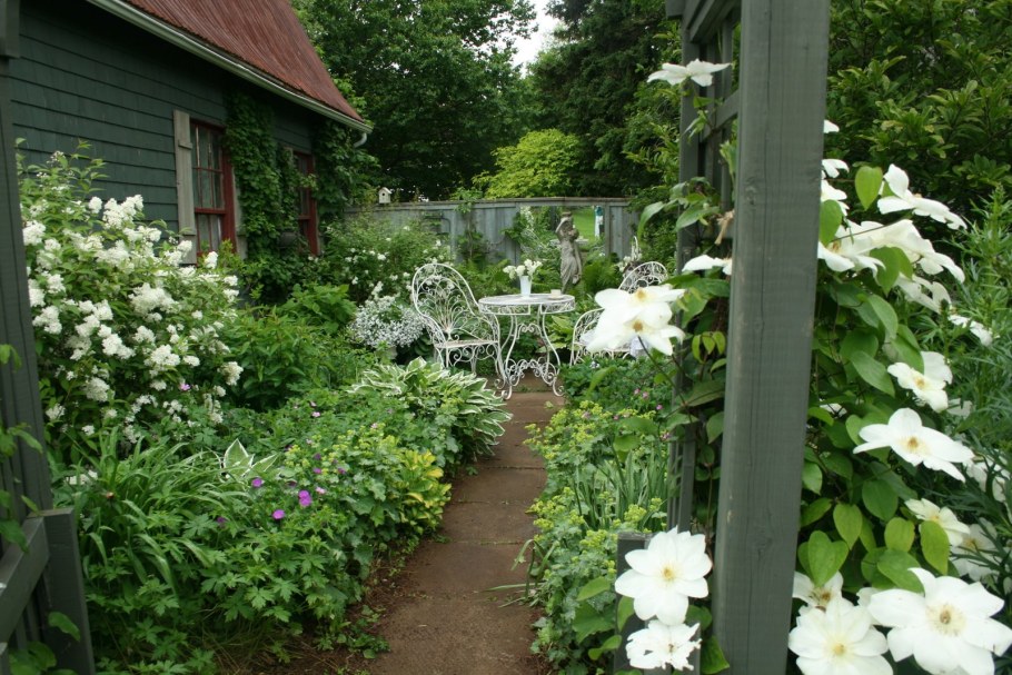 Клематис вдоль забора