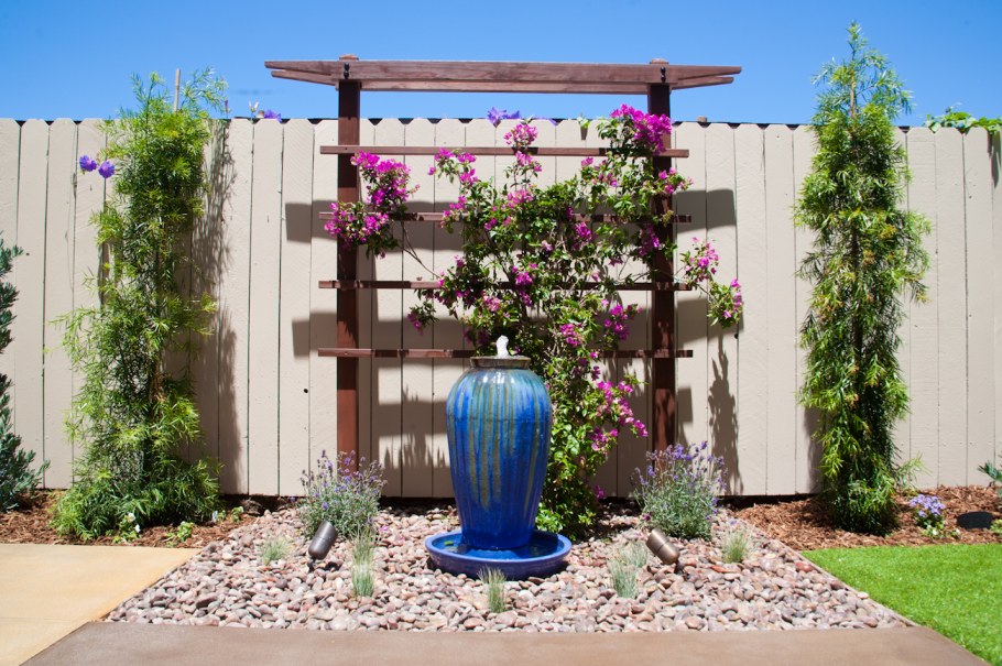 Клематис роземур