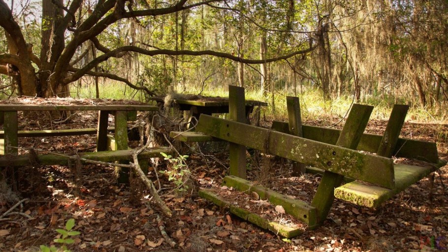 Заброшенный парк Диснея 1976 года