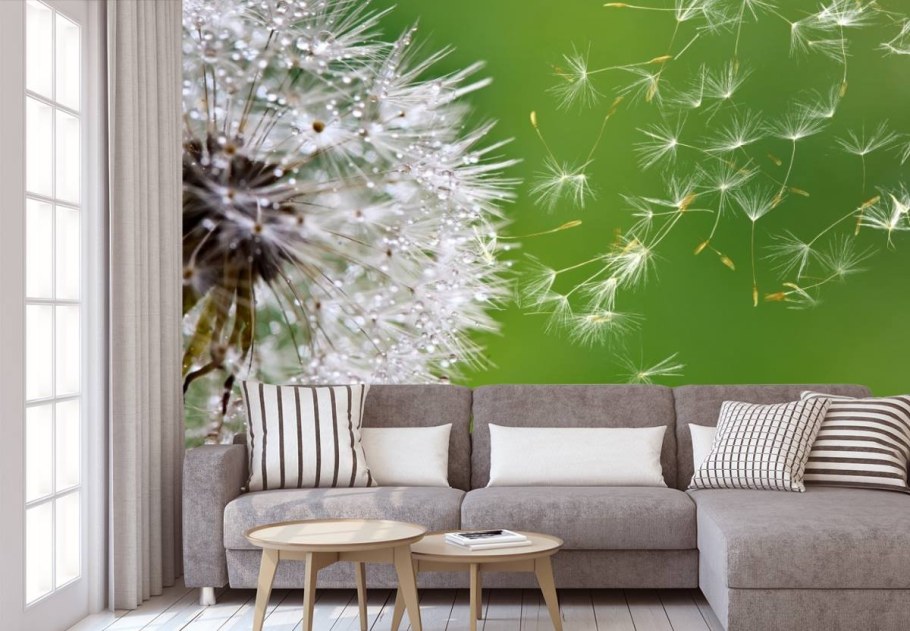 Аффреско одуванчики