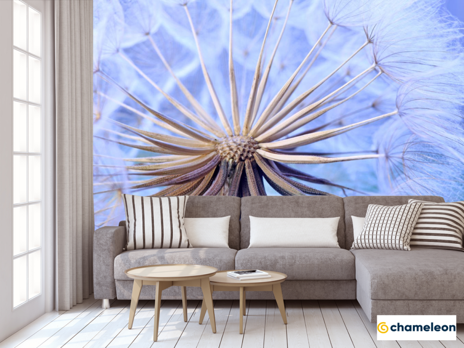 Фреска одуванчики на стену