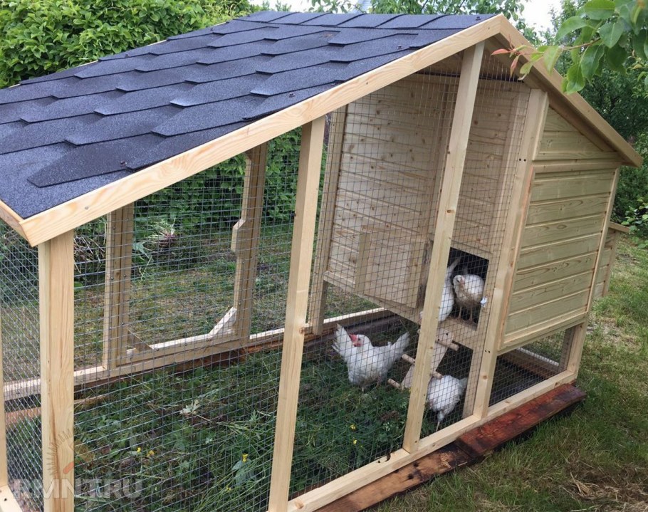 Курятник на 10 кур