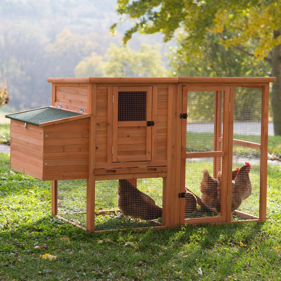 Курятник 2 на 2