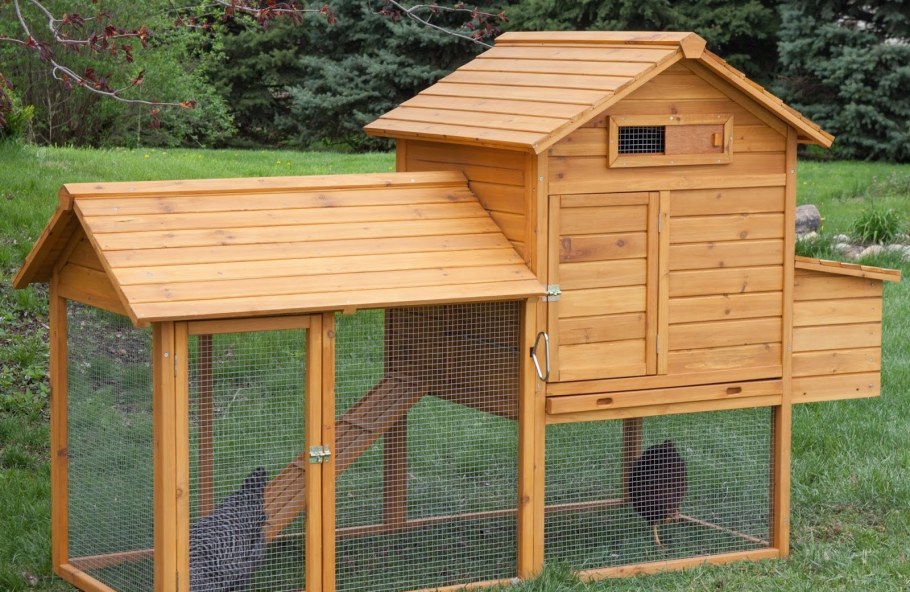 Курятник на 10-20 кур несушек