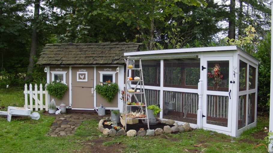 Зимний курятник Додонова