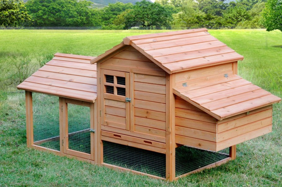 Курятник 4х5