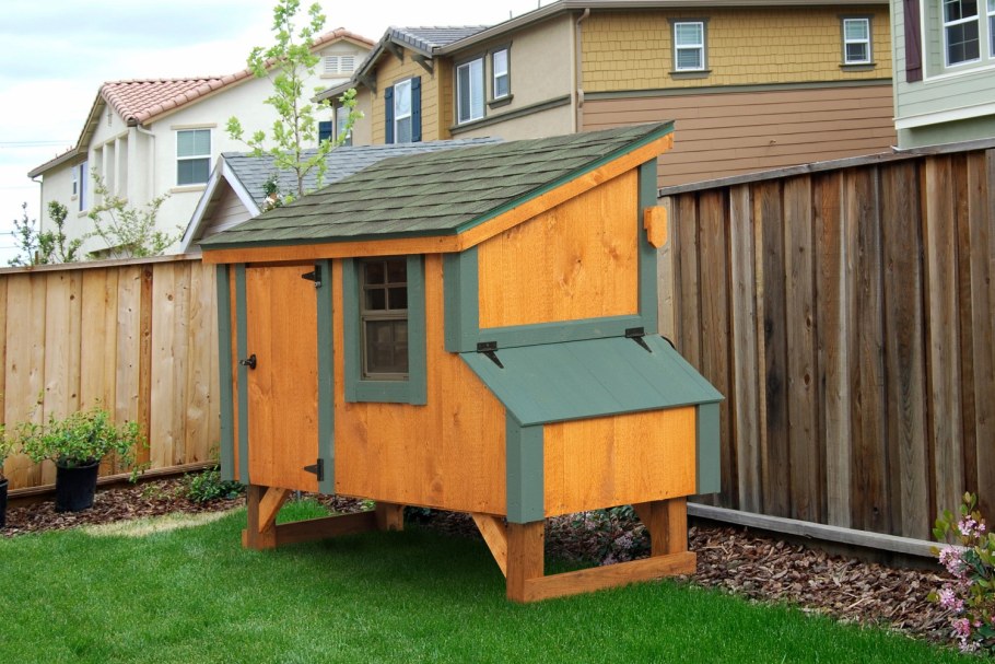 Летний курятник на 10 бройлеров