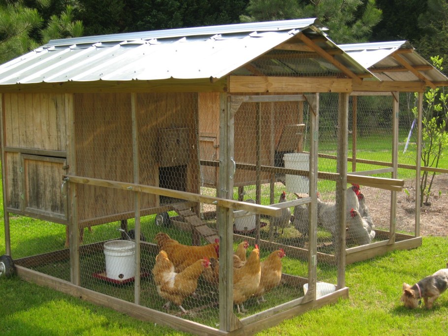Курятник куры76