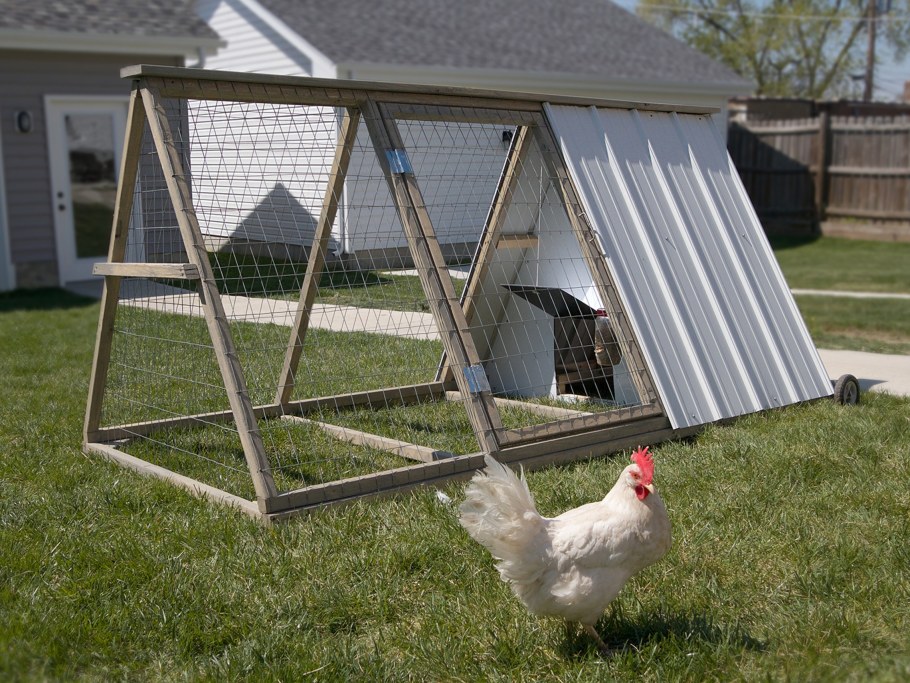 Курятник 2на1.8