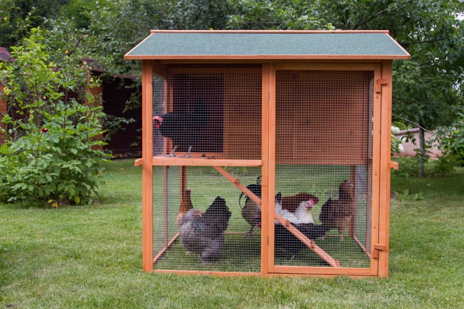 Курятник для бентамок