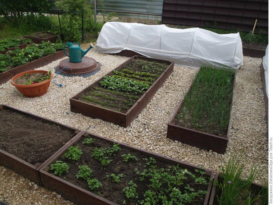 Дорожки между грядками