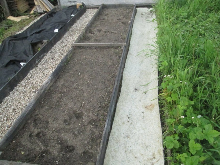 Бетонные дорожки между грядками