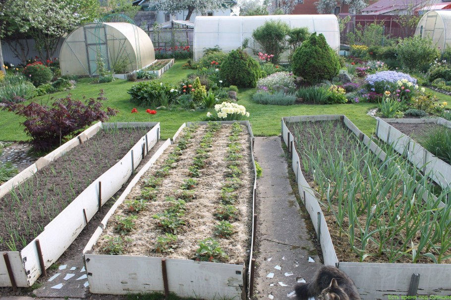 Дорожки между грядками
