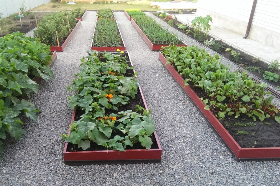 Междурядье грядок