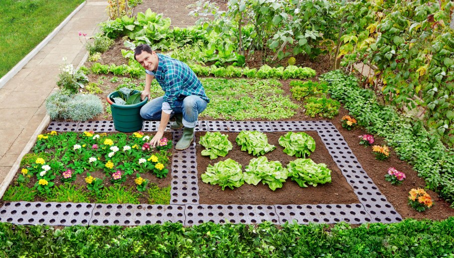 Тропинки между грядками щебенкой