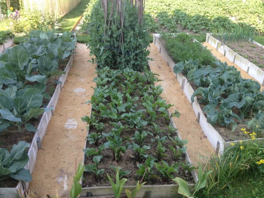 Дорожки между грядками